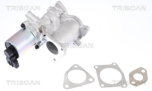 Vanne EGR Triscan A/S 8813 24101