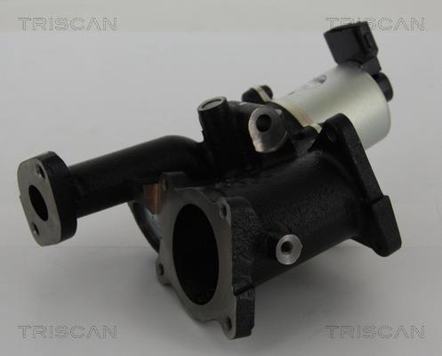 Vanne EGR Triscan A/S 8813 24101