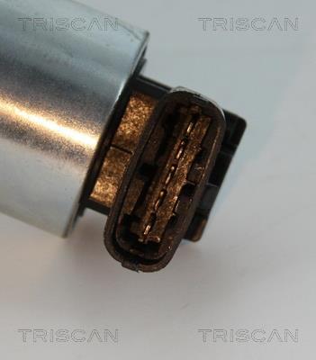 Vanne EGR Triscan A/S 8813 24102