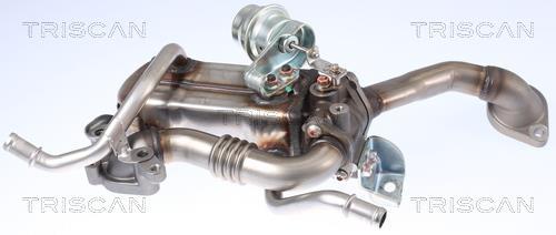 Radiateur, réaspiration des gaz d'échappement Triscan A/S 8813 24105