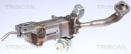 Radiateur, réaspiration des gaz d'échappement Triscan A/S 8813 24105