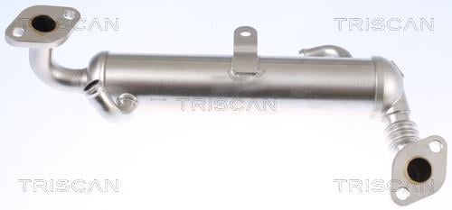 Radiador válvula egr Triscan A/S ref. 8813 24106