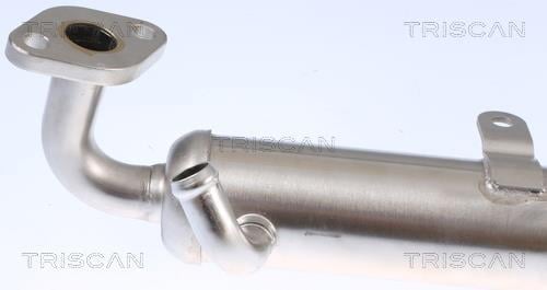 Radiador válvula egr Triscan A/S ref. 8813 24106