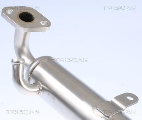 Radiador válvula egr Triscan A/S ref. 8813 24106