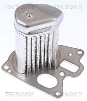 Radiateur, réaspiration des gaz d'échappement Triscan A/S 8813 24107