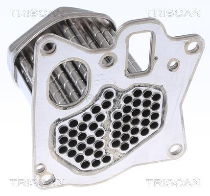 Radiateur, réaspiration des gaz d'échappement Triscan A/S 8813 24107
