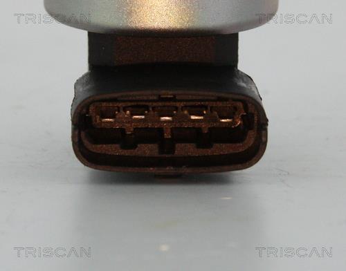 Vanne EGR Triscan A/S ref. 8813 24200