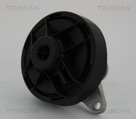 Vanne EGR Triscan A/S 8813 24202