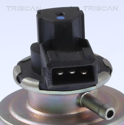 Vanne EGR Triscan A/S ref. 8813 24203