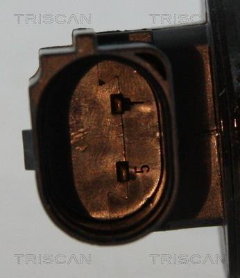 Válvula EGR Triscan A/S 8813 24204