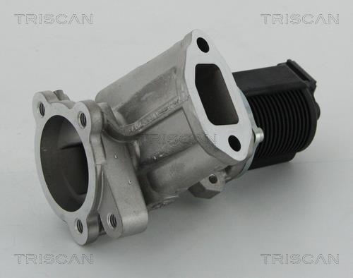 Válvula EGR Triscan A/S 8813 24204