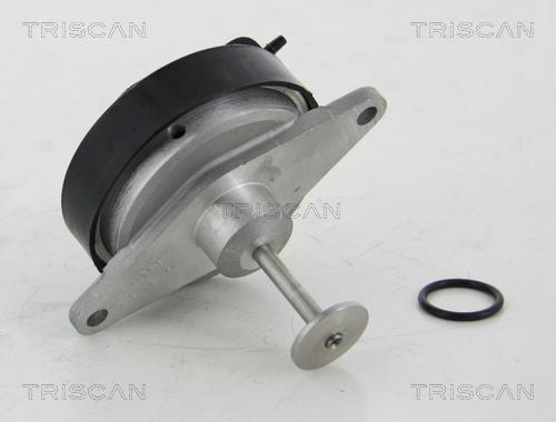 Vanne EGR Triscan A/S 8813 24208