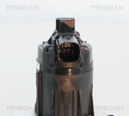 Vanne EGR Triscan A/S ref. 8813 24209