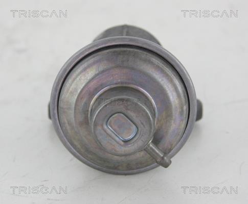 Vanne EGR Triscan A/S ref. 8813 25006