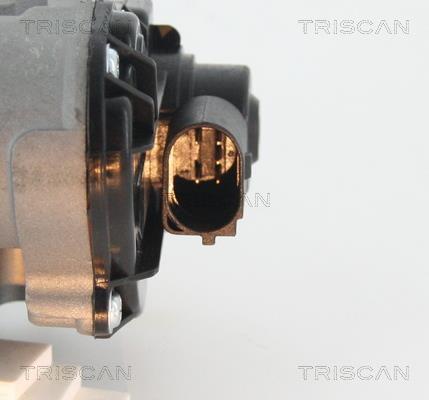 Vanne EGR Triscan A/S 8813 25010