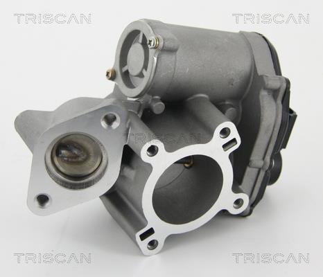 Vanne EGR Triscan A/S 8813 25010