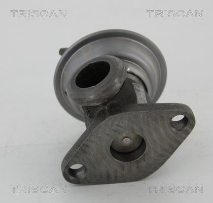 Vanne EGR Triscan A/S 8813 25011