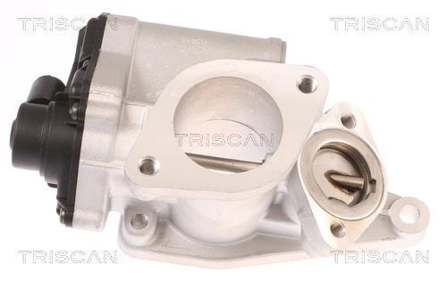 Vanne EGR Triscan A/S 8813 25012