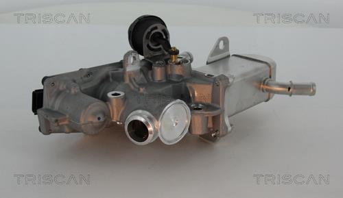 Vanne EGR Triscan A/S 8813 25013