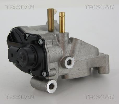 Vanne EGR Triscan A/S 8813 25018