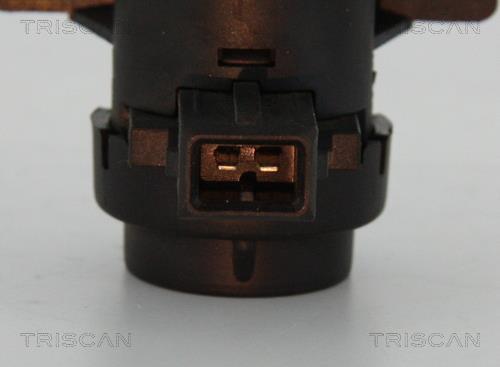 Válvula EGR Triscan A/S ref. 8813 25021