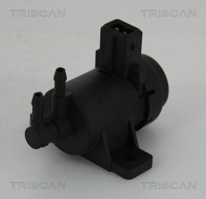 Válvula EGR Triscan A/S ref. 8813 25021