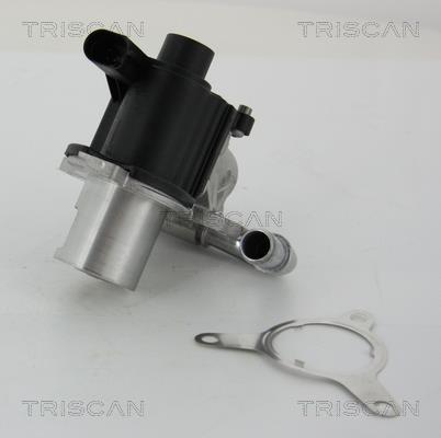 Vanne EGR Triscan A/S ref. 8813 25039
