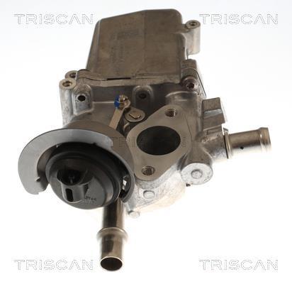Vanne EGR Triscan A/S 8813 25048