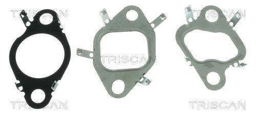 Vanne EGR Triscan A/S 8813 25048