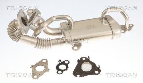 Radiateur, réaspiration des gaz d'échappement Triscan A/S 8813 25049