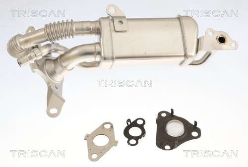 Radiateur, réaspiration des gaz d'échappement Triscan A/S 8813 25049