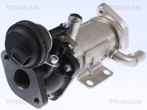 Radiador válvula egr Triscan A/S ref. 8813 25101