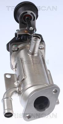 Radiador válvula egr Triscan A/S ref. 8813 25101