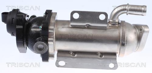 Radiador válvula egr Triscan A/S ref. 8813 25101