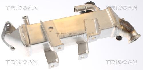 Radiador válvula egr Triscan A/S ref. 8813 25103
