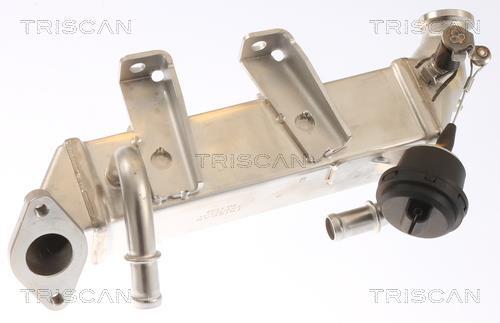 Radiador válvula egr Triscan A/S ref. 8813 25103