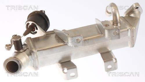 Radiador válvula egr Triscan A/S ref. 8813 25103