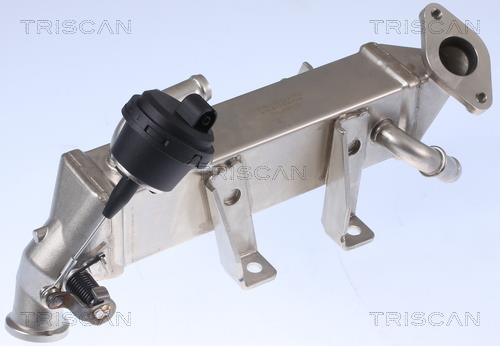 Radiateur, réaspiration des gaz d'échappement Triscan A/S 8813 25104