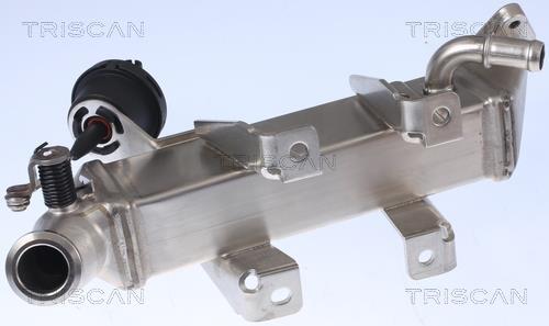 Radiateur, réaspiration des gaz d'échappement Triscan A/S 8813 25104