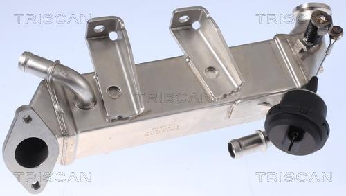 Radiateur, réaspiration des gaz d'échappement Triscan A/S 8813 25104