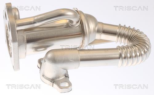 Radiador válvula egr Triscan A/S ref. 8813 25105