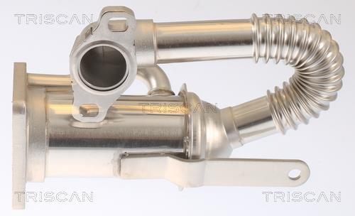 Radiador válvula egr Triscan A/S ref. 8813 25105