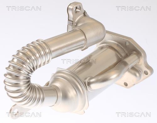 Radiador válvula egr Triscan A/S ref. 8813 25105