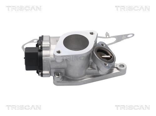 Vanne EGR Triscan A/S 8813 25201