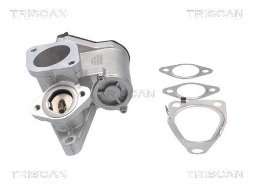 Vanne EGR Triscan A/S 8813 25201