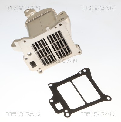 Radiador válvula egr Triscan A/S 8813 27010