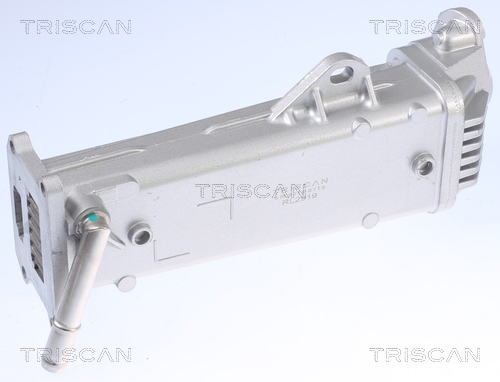 Radiateur, réaspiration des gaz d'échappement Triscan A/S 8813 27104