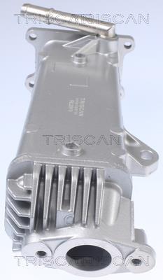 Radiateur, réaspiration des gaz d'échappement Triscan A/S 8813 27104