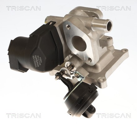 Vanne EGR Triscan A/S 8813 27106