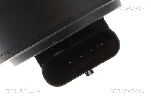 Vanne EGR Triscan A/S 8813 27106